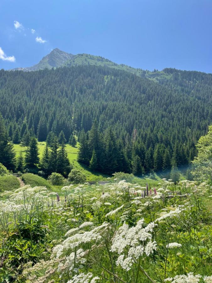 T2 Vue Sur Le Parc De La Vanoise La Plagne Extérieur photo