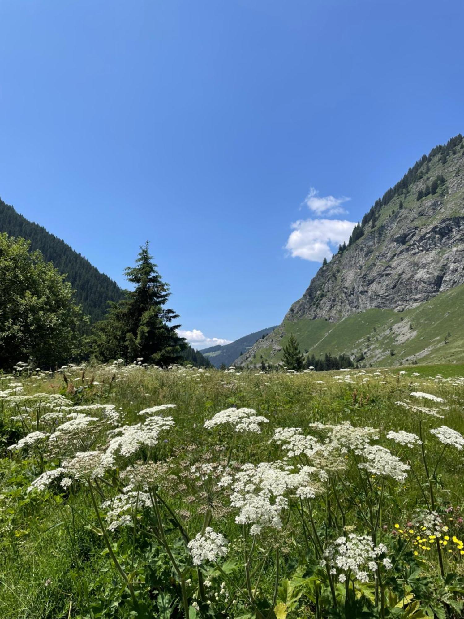 T2 Vue Sur Le Parc De La Vanoise La Plagne Extérieur photo